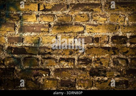 Ziegelmauer Stockfoto