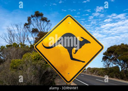 Känguruüberquerung Warnschild entlang einer Landstraße, Australien Stockfoto