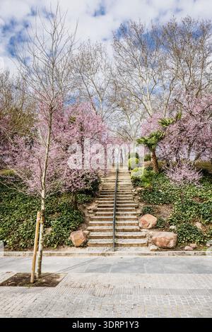 Parque de la Montana (Bergpark) im Zentrum von Madrid im Frühjahr Stockfoto