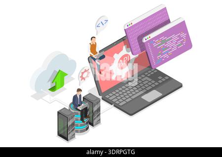 3D-Isometrischer flacher Vektor-Illustration der API Stockfoto