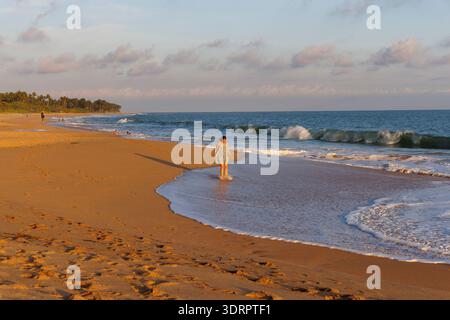 Junge Frau, die am Kahandamodara Beach im Golden Evening Light, Sri Lanka, spaziert Stockfoto