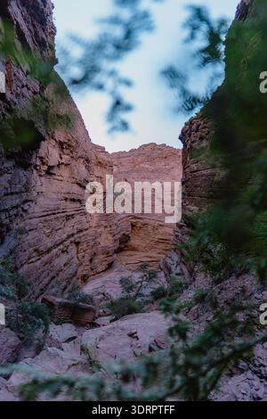 Ein schmaler Canyon mit einem Baum im Vordergrund. Der Canyon ist von Felsen umgeben und der Himmel ist bewölkt Stockfoto