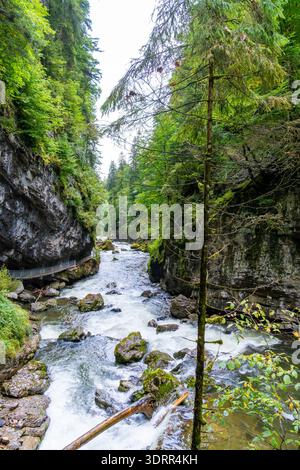 Ein rauschender Fluss durchquert eine enge Waldschlucht und fließt um moosbedeckte Felsen und umgestürzte Baumstämme. Steile Felswände ragen auf beiden Seiten auf, hineingezogen Stockfoto