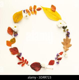 Sammlung von Herbstblättern und Blumen in einem Kreis auf hellem Hintergrund angeordnet Stockfoto