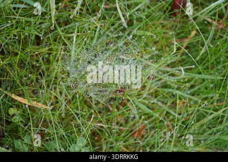 GEFAHR LAUERT HINTER SCHÖNHEIT. Stockfoto