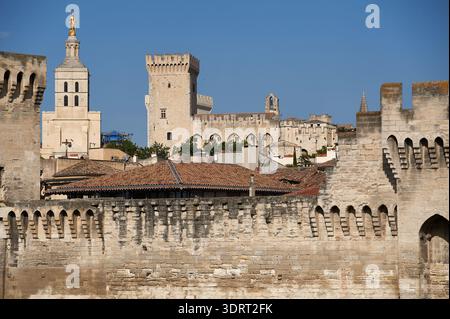 Blick auf den Papstpalast und den Turm der Kathedrale von Avignon mit seiner goldenen Statue hinter mittelalterlichen Stadtmauern, Avignon, Vaucluse, Frankreich, Europ Stockfoto