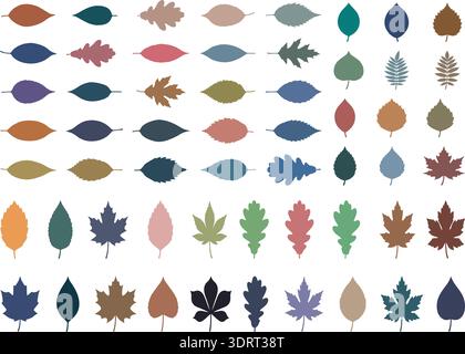 Herbstlaub-Kollektion Verschiedene Baum Blatt Formen Bunte Vektor-Set Stock Vektor