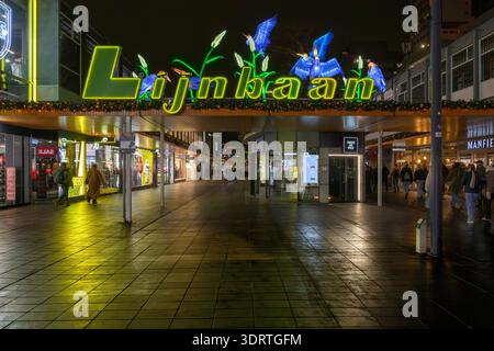 Bunte Reflektionen von Neonschildern auf der Fußgängerzone von Lijnbaan (Seilbahn) in Rotterdam. Die Vögel sind Weihnachtsdekoration. Stockfoto