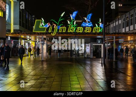 Bunte Reflektionen von Neonschildern auf der Fußgängerzone von Lijnbaan (Seilbahn) in Rotterdam. Die Vögel sind Weihnachtsdekoration. Stockfoto