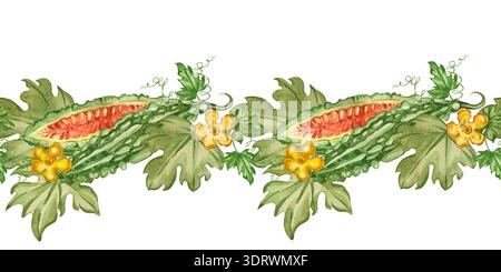 Ein nahtloser Rand aus Bittermelone, geschnittenen Früchten, gelben Blüten und grünen Blättern. Handgezeichnet mit Aquarellen. Eine gesunde Zutat. Abbildung für Stockfoto
