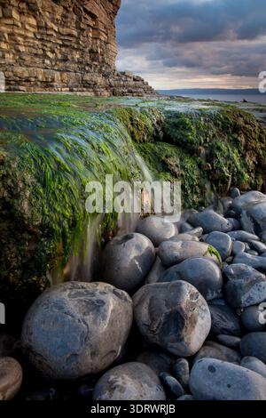 Grüne Algen und Meerwasser kaskadieren über runde Steine am Fuße der Küstenklippen an der Heritage Coast. Stockfoto