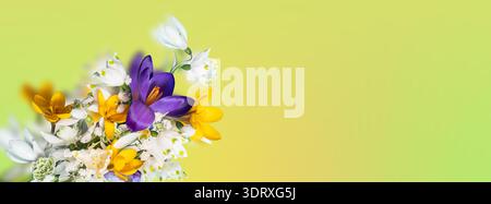 Farbenfrohes Bouquet von Frühlingswildblumen mit lila, gelben und weißen Blüten auf weichem grünem Hintergrund. Frische, saisonale Blumenkomposition, Kopierraum. Stockfoto