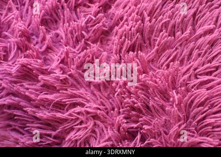 Weiche rosafarbene und fuchsiafarbene Stoffstruktur. Nahaufnahme aus Pelztextil mit flauschiger, gemütlicher Oberfläche mit lebhaften Farben, perfekt für Hintergründe Stockfoto