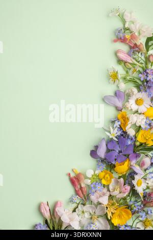 floral Flat lag von verschiedenen Wildblumen auf einem hellgrünen Hintergrund. Draufsicht Stockfoto