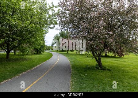 Gepflasterter Wanderweg in einem Garten mit rosa und weißen Blüten. Gewundener Parkweg durch blühende Frühlingsbäume. Malerische Landschaft Stockfoto