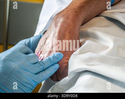 Platzierung einer intravenösen Durchstechflasche (periphere Venenkatheterisierung), Son Llatzer Hospital, Mallorca, Balearen, Spanien Stockfoto