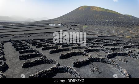 Weitwinkelaufnahme der vulkanischen Weinberge von La Geria, Lanzarote. Ein beeindruckendes Beispiel für die traditionelle Landwirtschaft auf den Kanarischen Inseln. Stockfoto