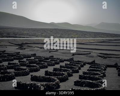 Weitwinkelaufnahme der vulkanischen Weinberge von La Geria, Lanzarote. Ein beeindruckendes Beispiel für die traditionelle Landwirtschaft auf den Kanarischen Inseln. Stockfoto