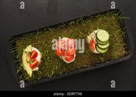 Creative Food Collage auf einer schwarzen Platte mit verschiedenen Belägen und frischen Zutaten Stockfoto