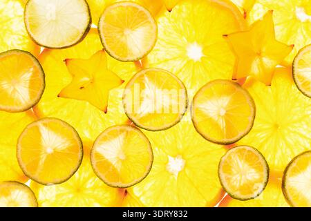 Sammlung von Zitrusfrüchtescheiben in einer lebendigen und farbenfrohen Collage Stockfoto