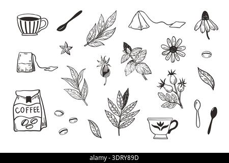 Set aus Kaffee- und Teekannen, Kaffeetassen, Mahlwerk und Perkolator. Isolierte Designelemente für Menü und Verpackung. Schwarz-weiß-Vektorillustration Stock Vektor