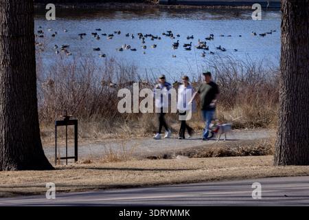 Drei Menschen laufen auf einem Weg in der Nähe eines Sees voller Enten. Die Umgebung umfasst Gras und Bäume. Es ist ein heller Tag mit klarer Sicht. Stockfoto