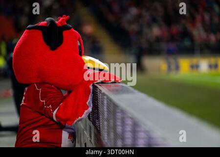 Hull, England, 20. Februar 2026 – Hull KR Mascot beobachtet nervös beim Spiel der Betfred World Club Challenge zwischen Hull KR und Brisbane Broncos im MKM Stadium. Quelle: Paddy Douglas/Alamy Live News Stockfoto