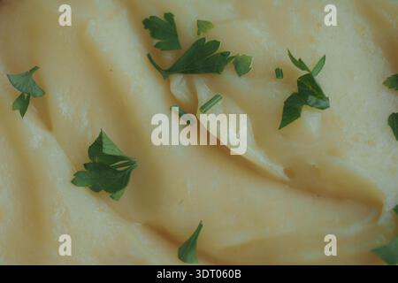 Kartoffelpüree mit grünen Kräutern in einer Schüssel Stockfoto