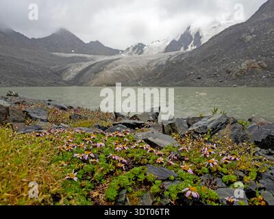 Kleiner See am Fuße eines Gletschers am Rande des Ala Kol Sees in den Tan Shan Bergen Stockfoto