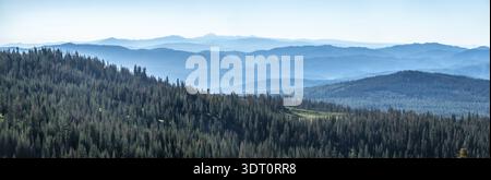 Shasta-Trinity National Forest und Landschaften Stockfoto