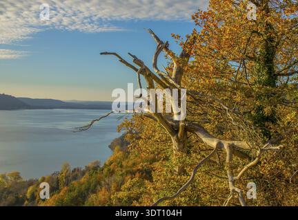 Goldener Oktober in Sipplingen am Bodensee Stockfoto