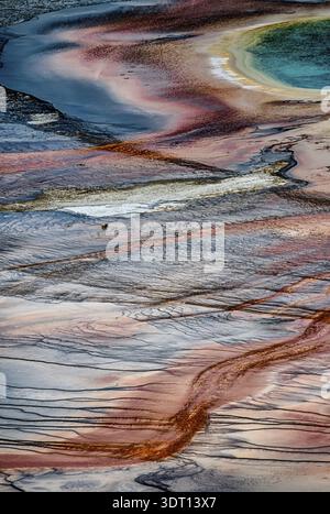 Prismatische Quelle im yellowstone-Nationalpark in wyoming Stockfoto