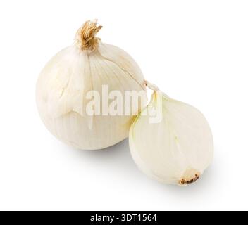 Zwiebeln in einer Simple Collection mit verschiedenen Sorten und Formen von Gemüse Stockfoto