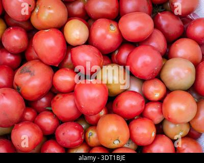 Blick von oben Auf Einen Haufen reifer roter Tomaten, die in natürlichem Licht gefangen werden und Frische und Bio-Produkte von Hochlandfarmen zeigen. Stockfoto