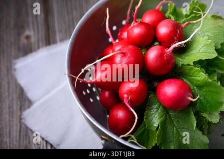 Radieschen mit Laub in Metallschale auf Leinentuch und Holztisch. Frische Bio-Produkte für Hausmannskost und saubere Speisen Stockfoto