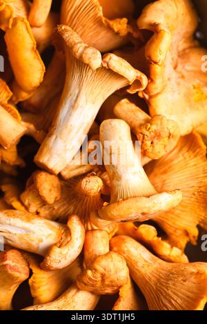 Makroaufnahme von Chanterelle-Pilzen auf altem Holztisch. Waldpilze, Bio-Lebensmittel, Herbsternte Stockfoto