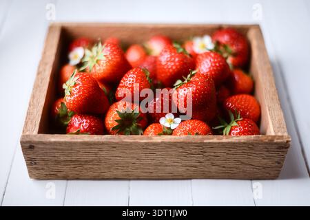 Frische rote Erdbeeren in einer kleinen Holzkiste auf weißem Holztisch. Saftige saisonale Früchte mit natürlicher Textur und Blumen, gesunde Dessertzutat Stockfoto