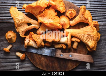 Frische Pfifferlingen auf Holzschneidebrett mit Blick von oben. Waldpilze, saisonales Essen, rustikale Küche Stockfoto