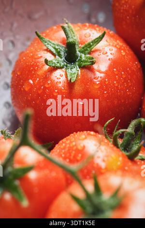 Detaillierte Nahaufnahme von Tomaten mit Wassertropfen im Sieb. Frisches gewaschenes Gemüse, gesundes Kochen Stockfoto