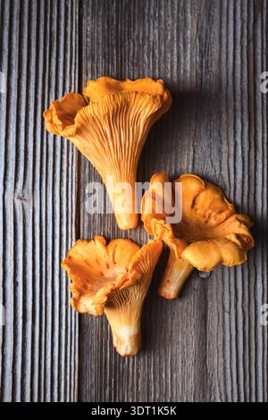 Frische Pfifferlinge liegen auf Holztisch aus nächster Nähe. Waldpilze, natürliche Zutaten, rustikaler Stil, Blick von oben Stockfoto