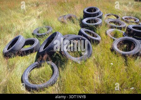 Barchow, Polen - 10. Juli 2010: Alte Reifen wurden auf einer Wiese im kleinen Dorf Barchow in Mazowien abgeladen Stockfoto