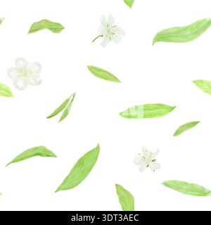 Grüne Blätter und Blumen, nahtloses Muster. Aquarellabbildung. Weidenzweig, Frühlingslaub, isoliert auf Hintergrund. Geeignet für Karten, Invita Stockfoto