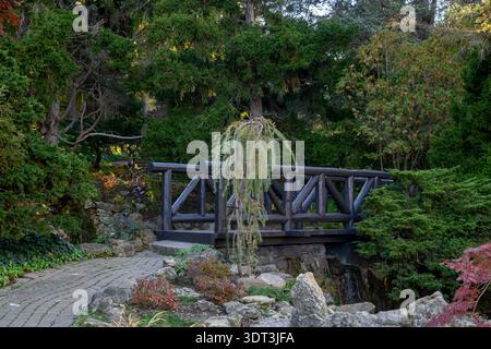 Dieses Bild zeigt eine rustikale Brücke in James Gardens, Toronto, die im Herbst gedreht wurde. Es fängt eine ruhige Landschaft mit üppigem Grün ein, geeignet für Reisen o Stockfoto