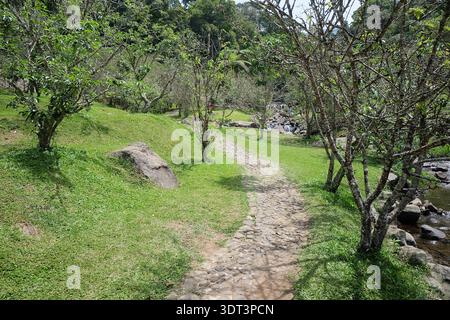 Der malerische Stone Pathway schlängelt sich durch einen üppigen Green Park Stockfoto