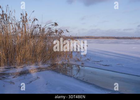 Gefrorener Fluss mit trockenem Schilf und Eisoberfläche Winterlandschaft natürliche kalte Umgebung Landschaft Stockfoto