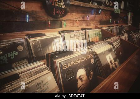 Schallplatten in einem beschrifteten Fach in einem unabhängigen Plattenladen mit verschiedenen Albumtiteln und Genres Stockfoto