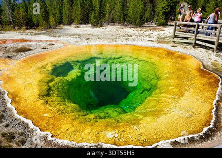 Besucher beobachten den Morning Glory Pool im Yellowstone National Park. Die lebhaften Wasserfarben ziehen viele Parkgäste am Morgen an. Stockfoto