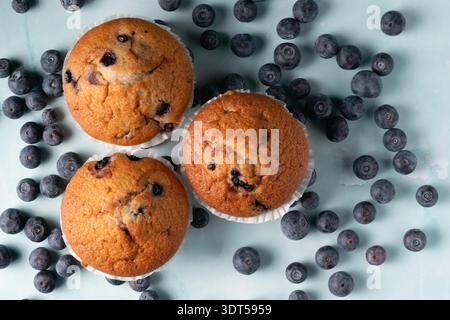 Ästhetische Lebensmittelkomposition mit drei Heidelbeermuffins mit vielen frischen Beeren, die auf einem hellen Hintergrund verteilt sind Stockfoto