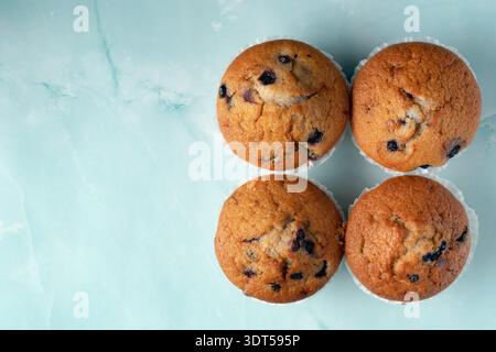 Blick von oben auf vier frisch gebackene goldene Heidelbeermuffins mit sichtbaren Fruchtstücken auf einer hellen minimalistischen Oberfläche Stockfoto