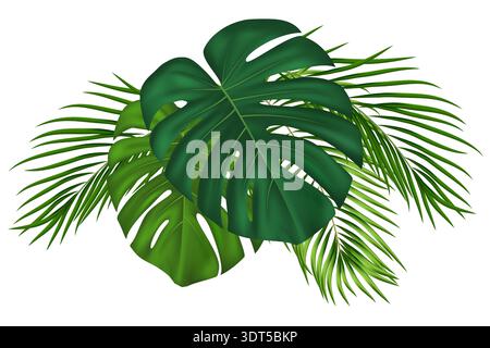 Grüne Palme tropische Blätter isoliert auf weißem Hintergrund. Exotische Kokosnusszweige und Monstera-Blätter sind perfekt für hawaiianische Stranddekorationen Stock Vektor